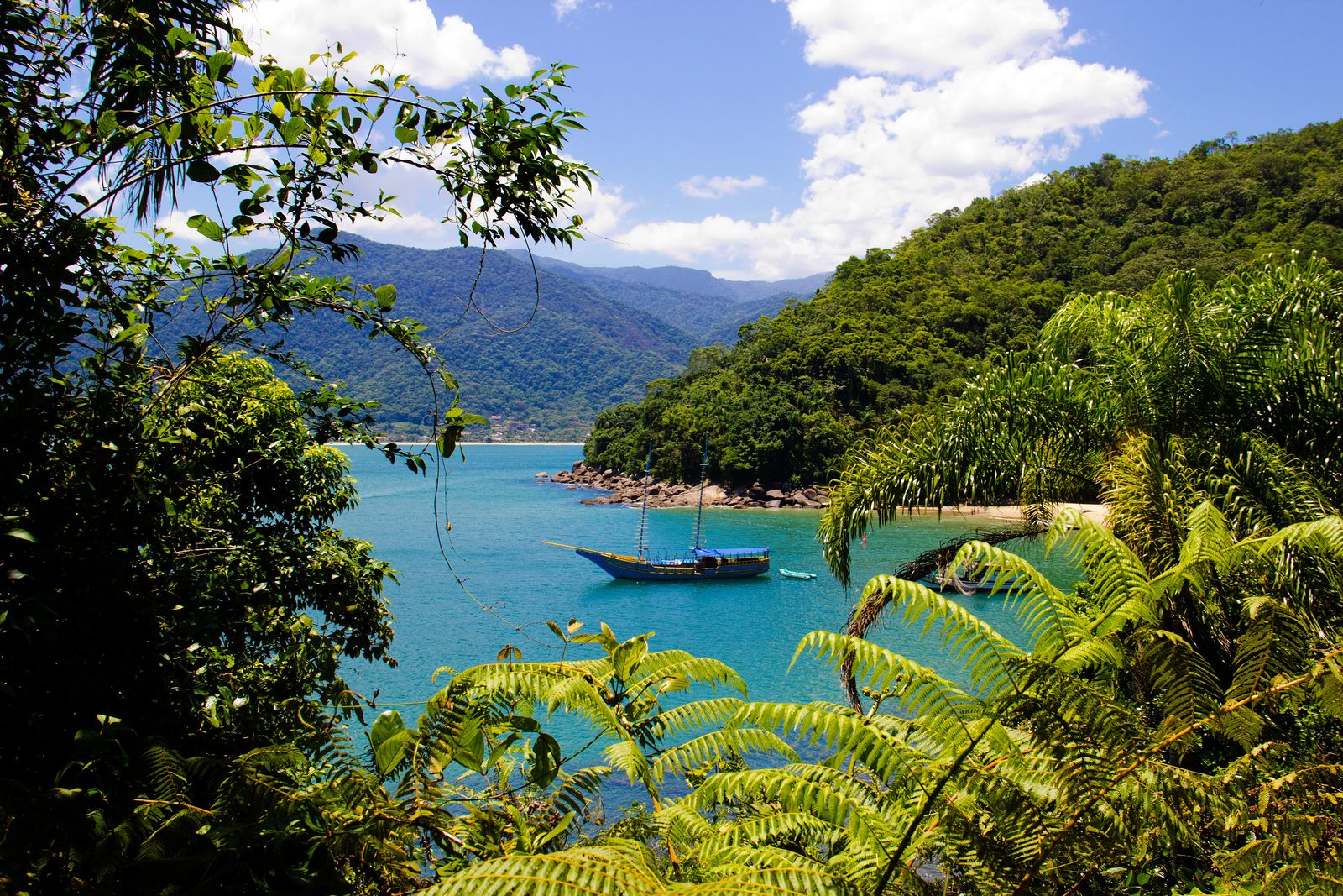 Praia do Bonete, Ubatuba, com mar verde e mata ao fundo